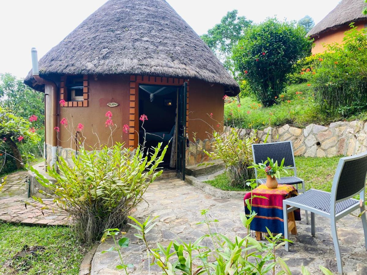 Nyore Hillside Retreat Mbarara Ngoại thất bức ảnh