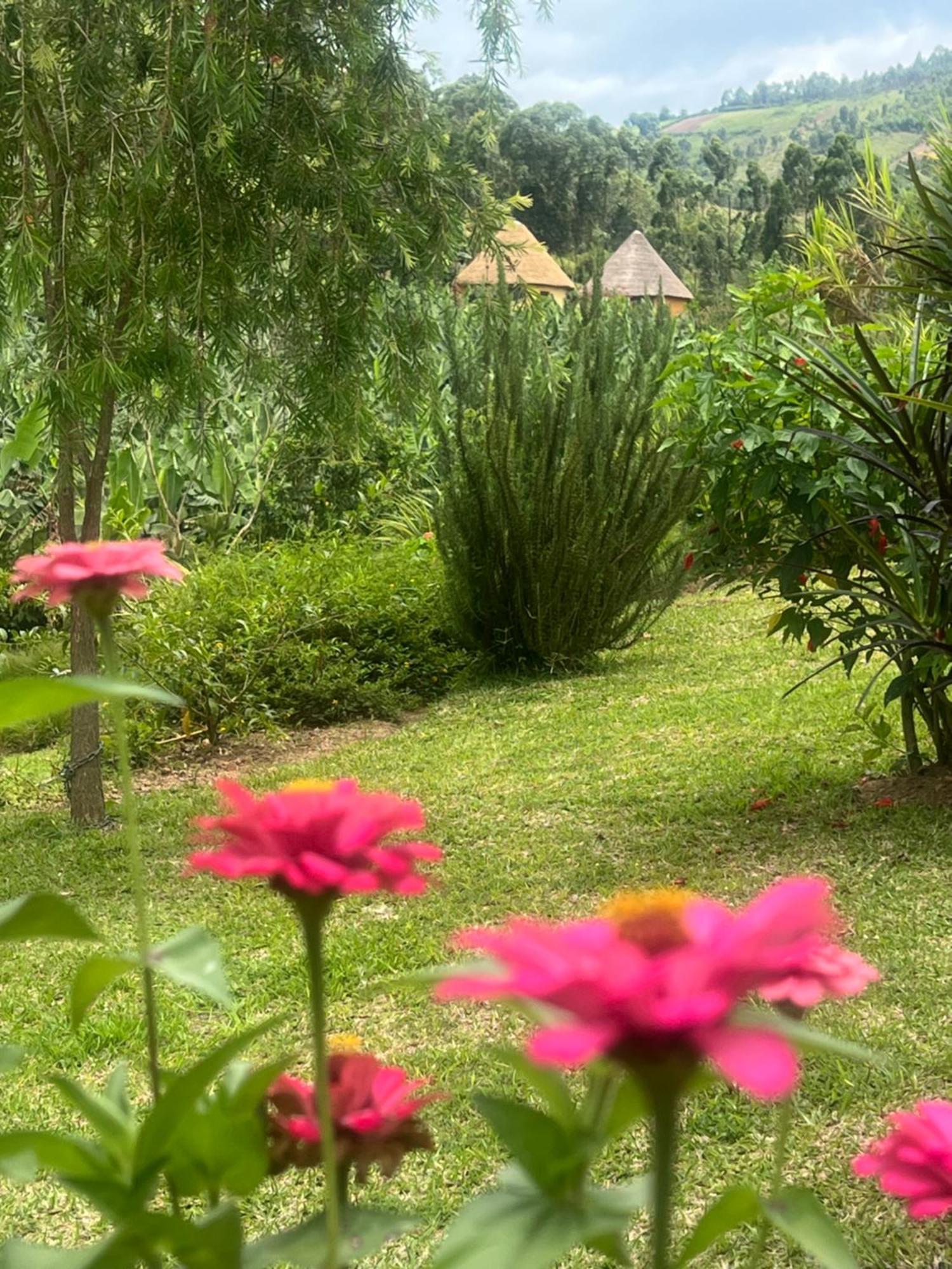 Nyore Hillside Retreat Mbarara Ngoại thất bức ảnh