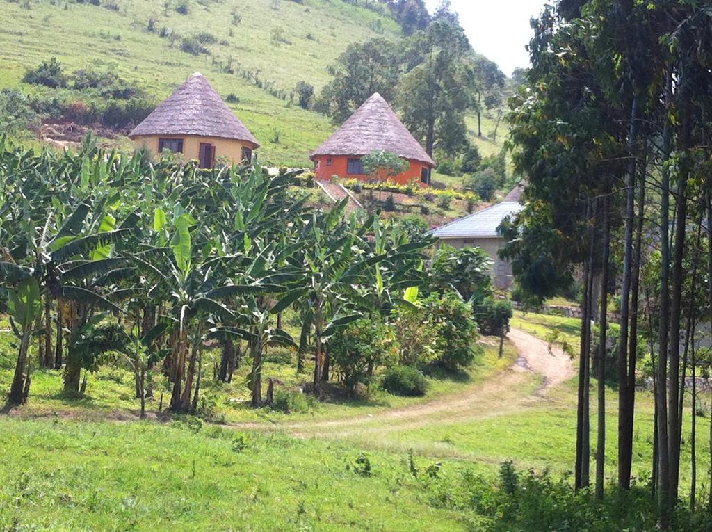 Nyore Hillside Retreat Mbarara Ngoại thất bức ảnh