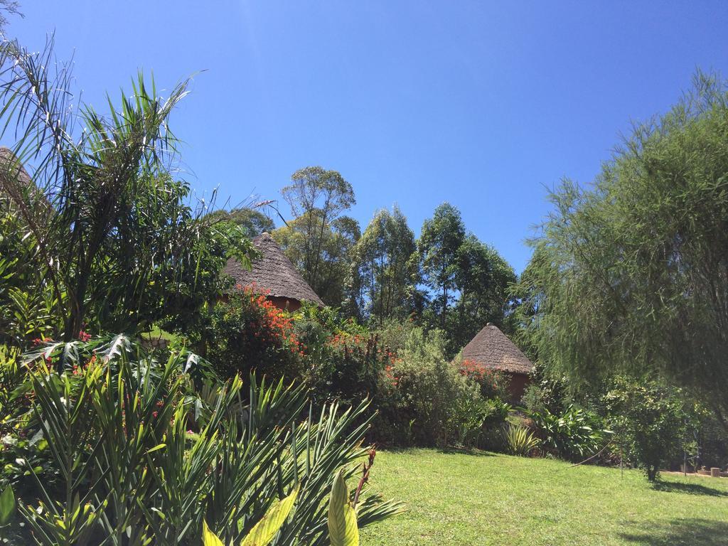 Nyore Hillside Retreat Mbarara Ngoại thất bức ảnh