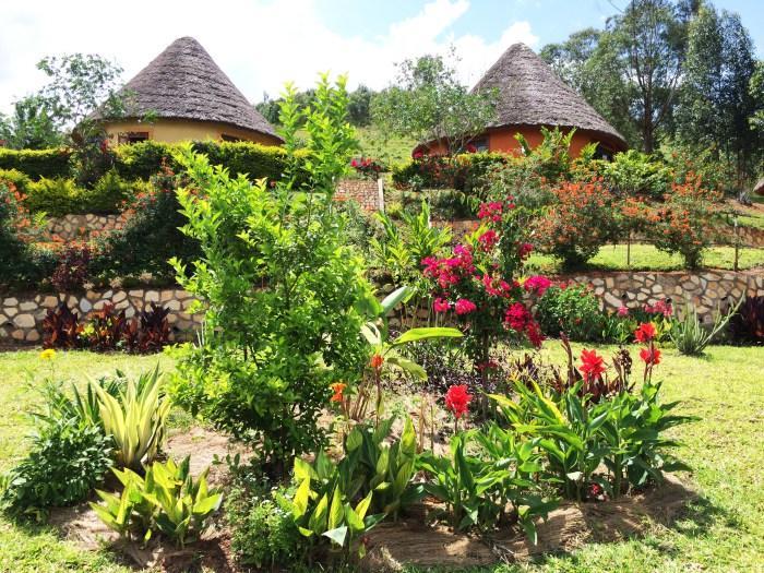 Nyore Hillside Retreat Mbarara Ngoại thất bức ảnh