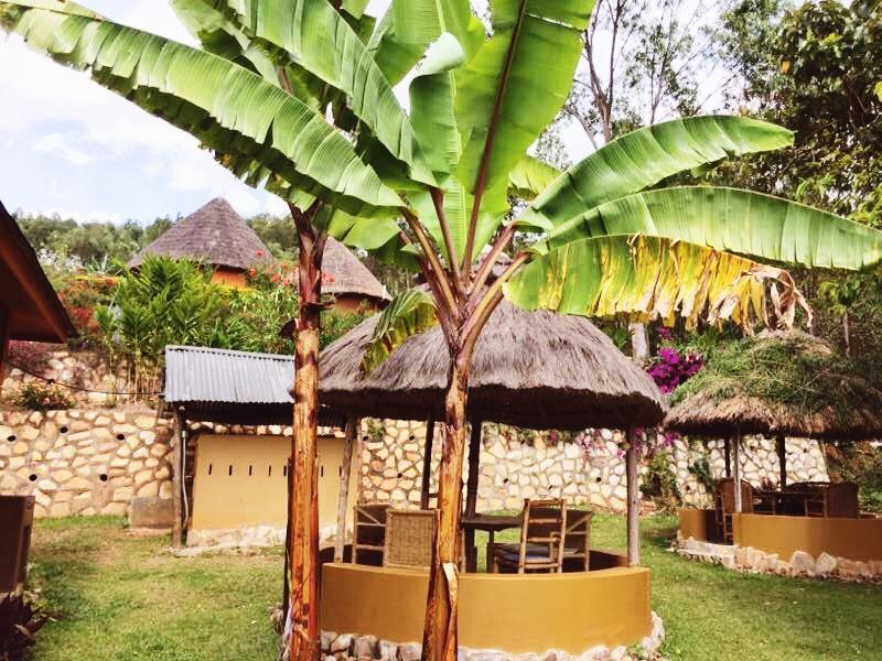 Nyore Hillside Retreat Mbarara Ngoại thất bức ảnh