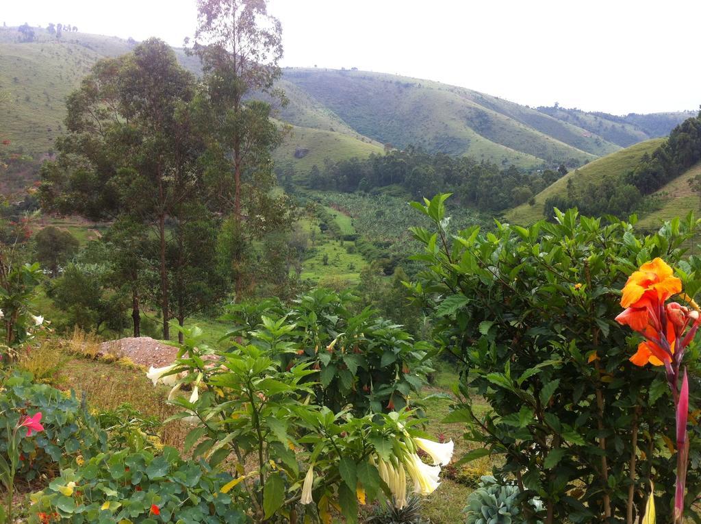 Nyore Hillside Retreat Mbarara Ngoại thất bức ảnh