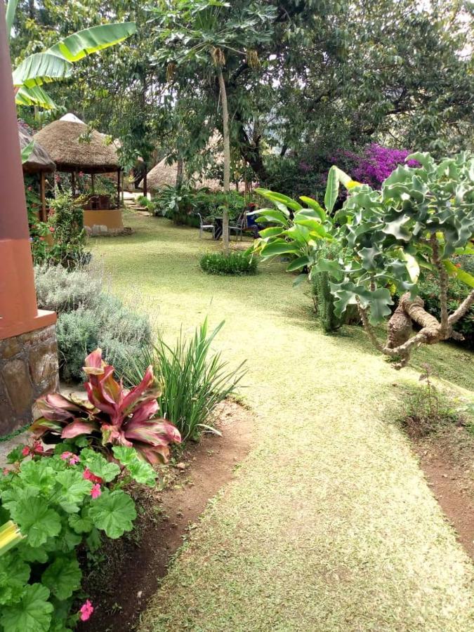 Nyore Hillside Retreat Mbarara Ngoại thất bức ảnh
